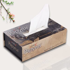 Papyrus: Best Manufacturer of Tissue in India