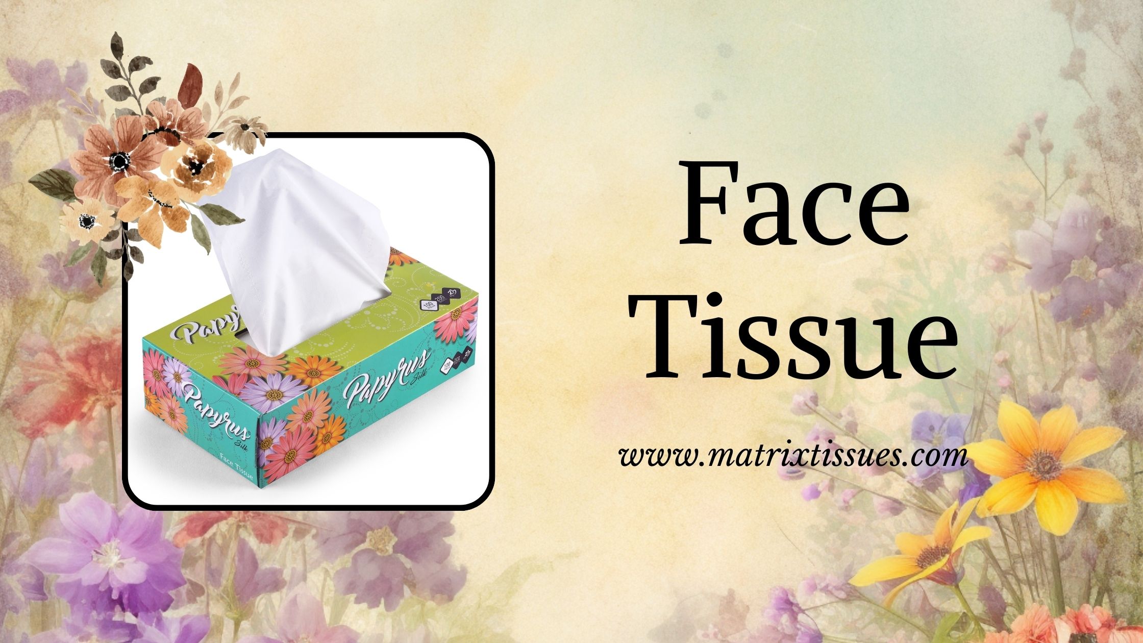 Papyrus: Best Manufacturer of Tissue in India