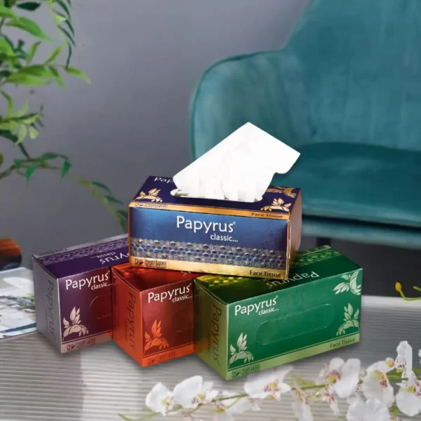 Facial Tissue Papyrus  Classic 200 Pulls - Image 2