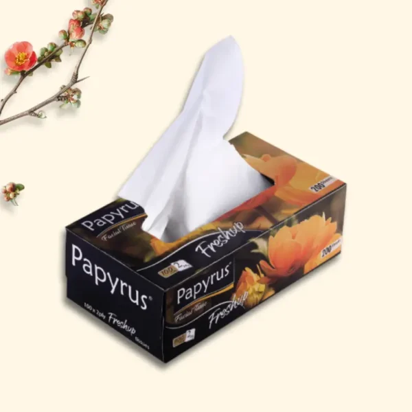 Facial Tissue Papyrus Freshup 100 pull