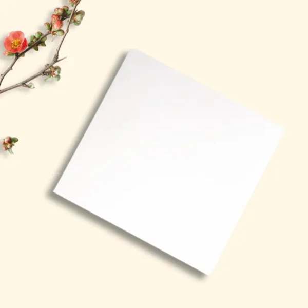 Plain Butter Paper Sheet