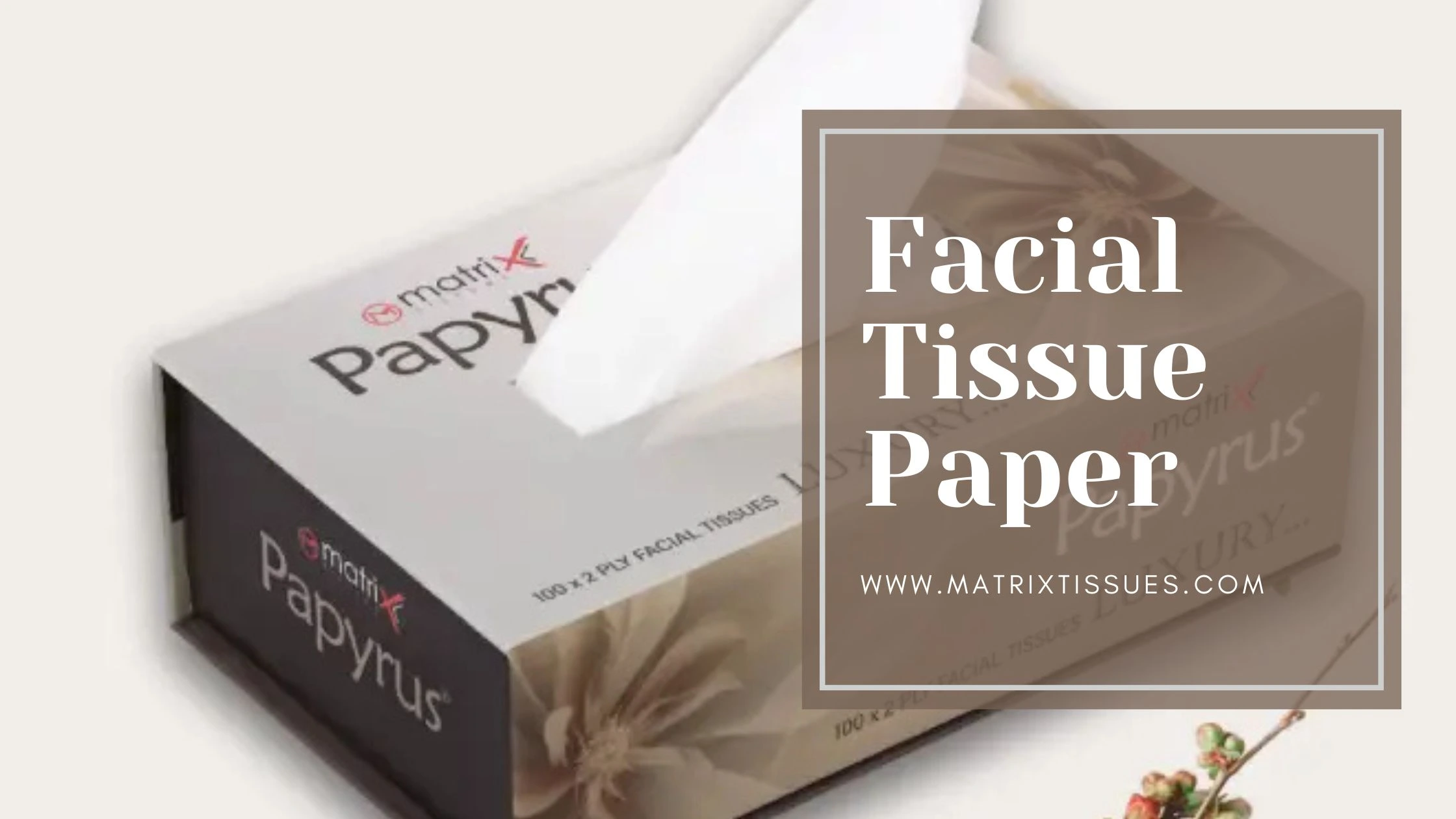 Best Facial Tissue Manufacturer in Delhi