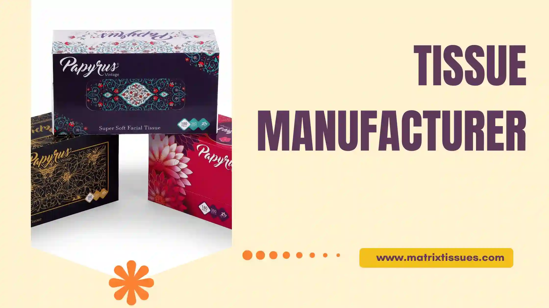 Papyrus: Best Manufacturer of Tissue in India