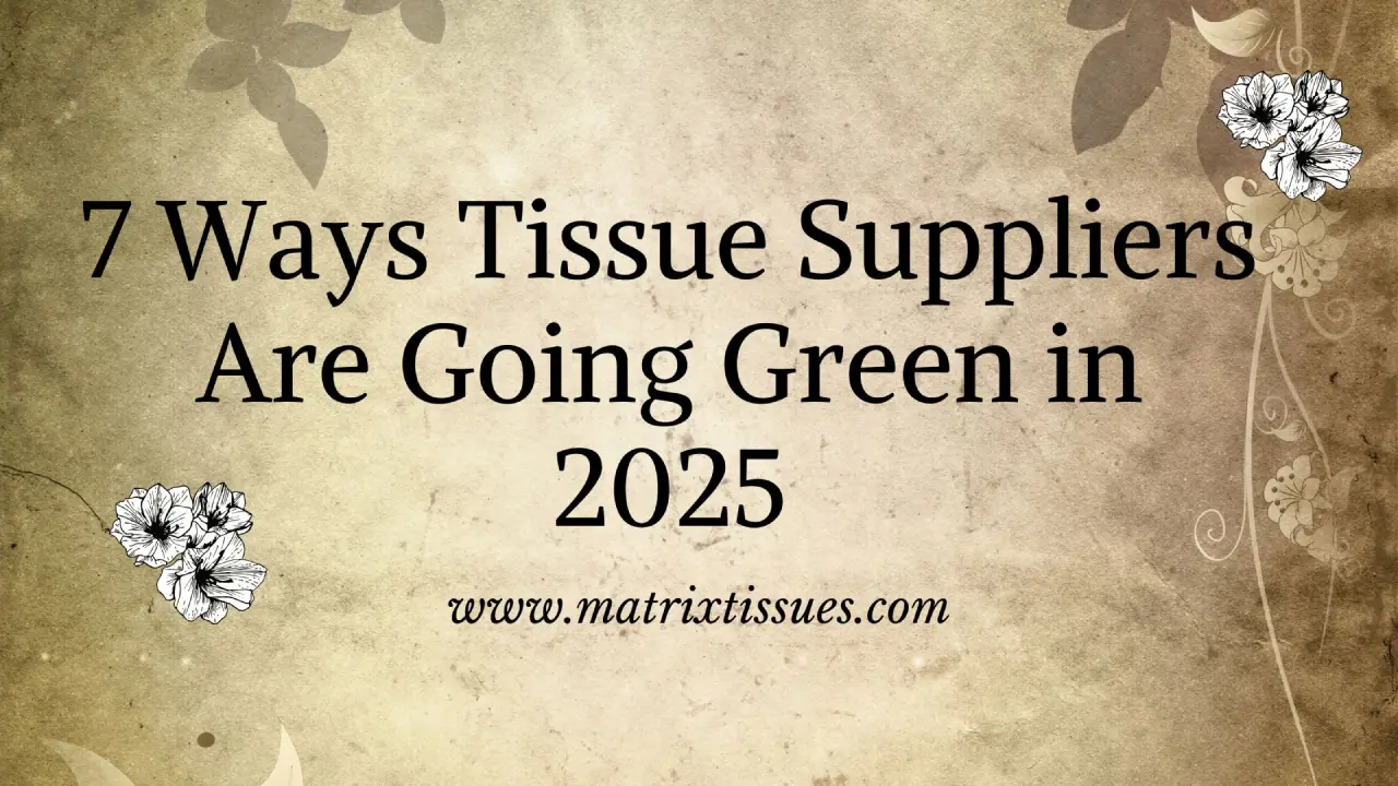 Papyrus: Best Manufacturer of Tissue in India