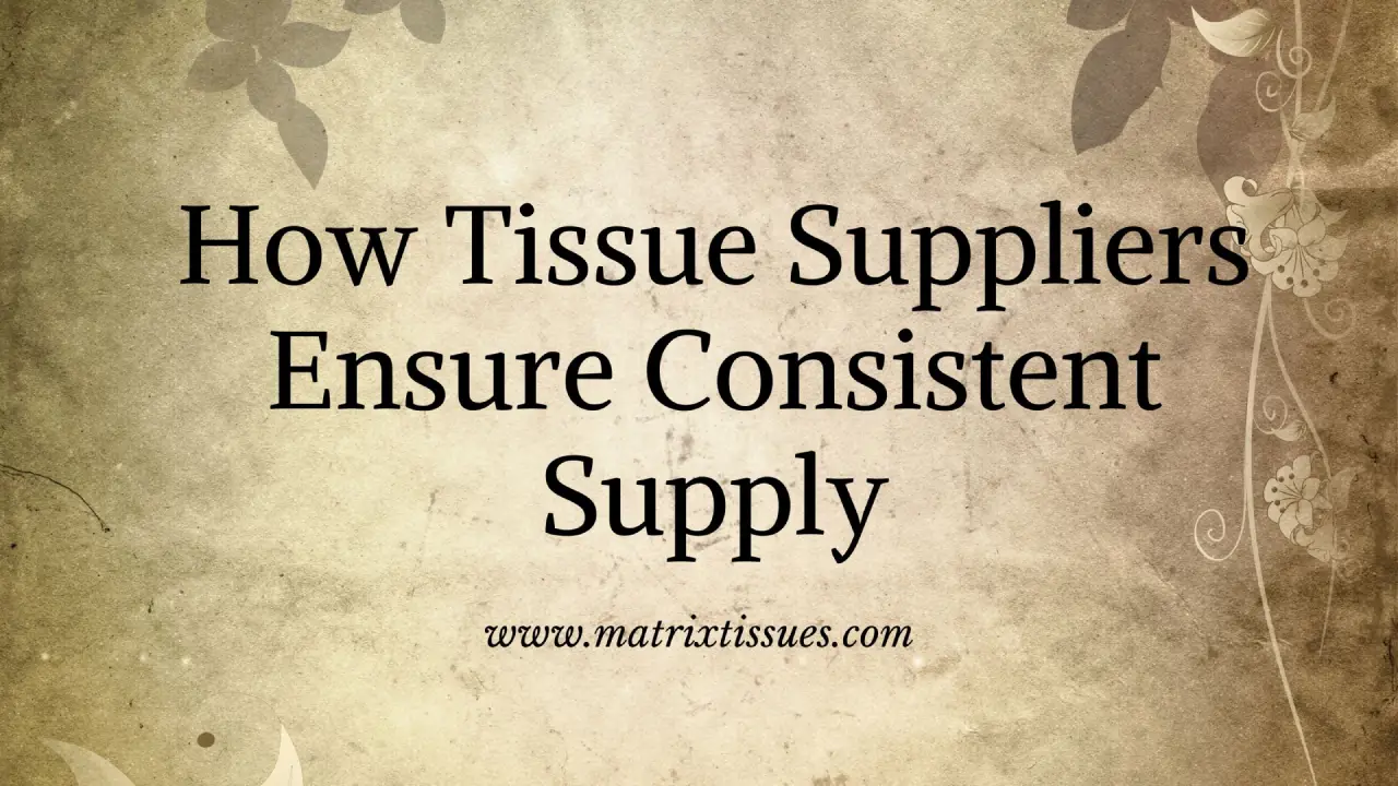 Papyrus: Best Manufacturer of Tissue in India