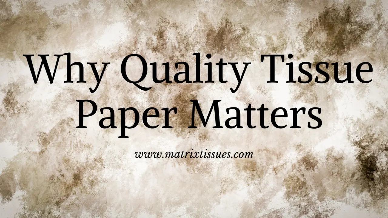 Papyrus: Best Manufacturer of Tissue in India