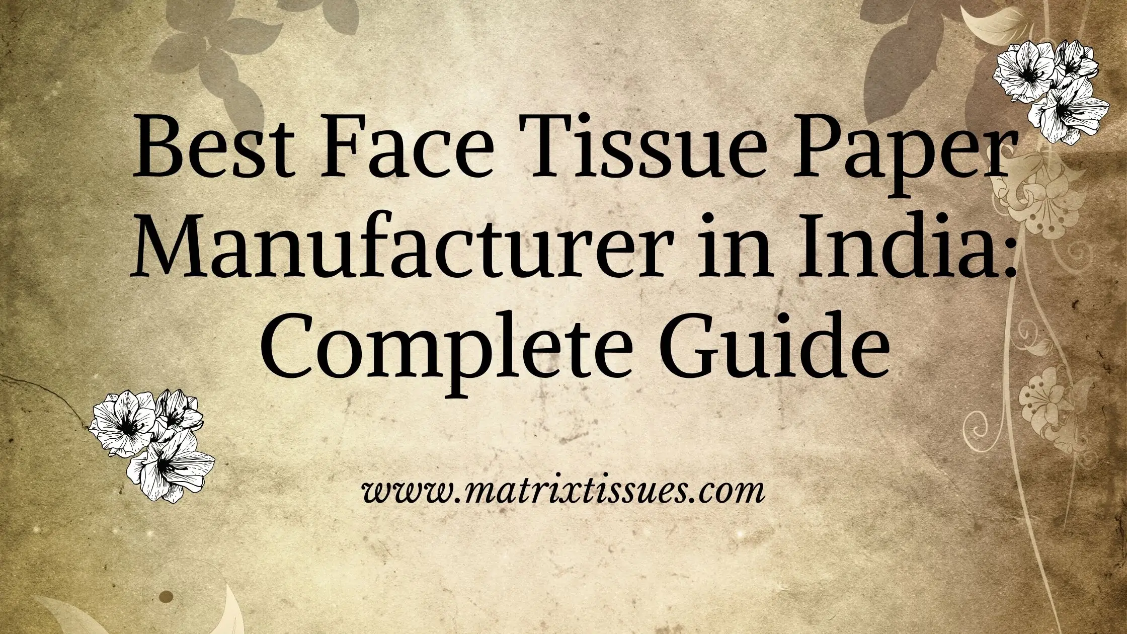 Best Face Tissue Paper