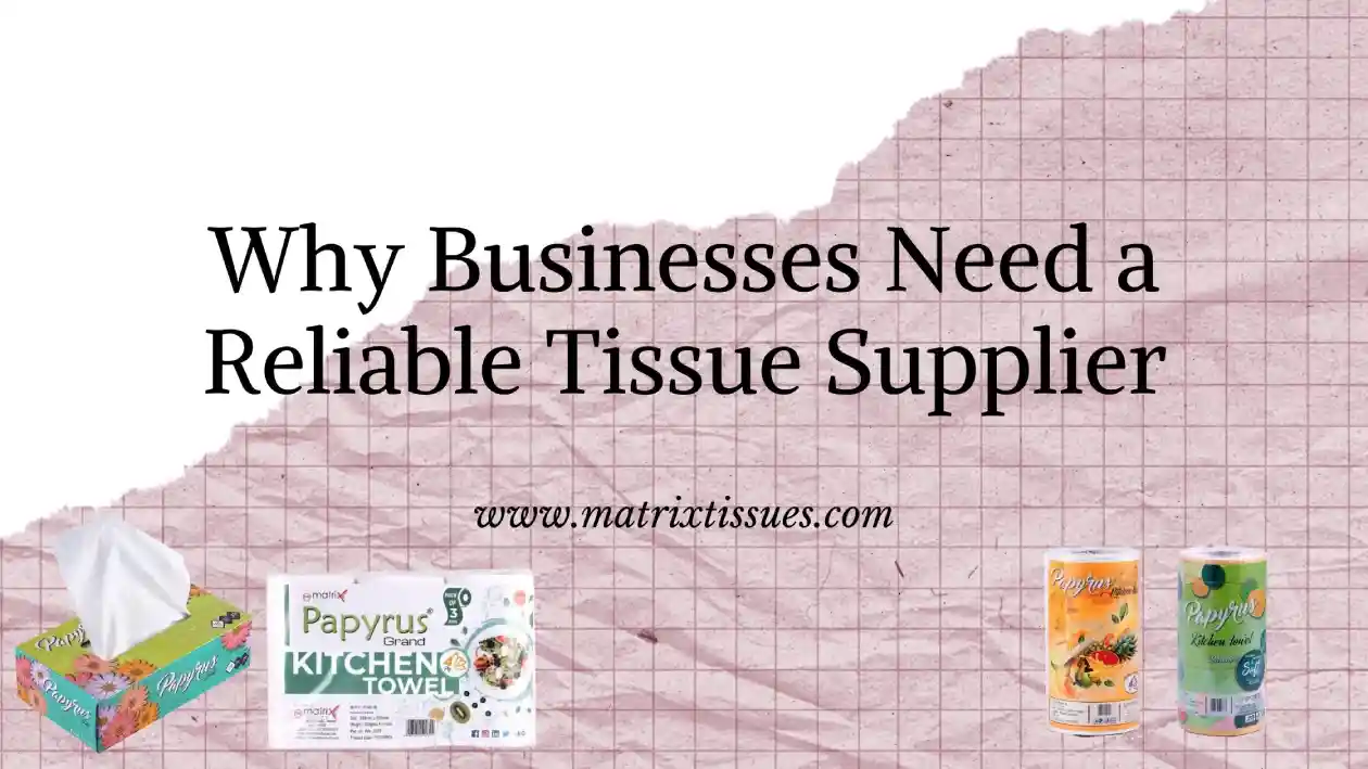 Tissue Supplier, Face Tissue Supplier, Paper Napkin Supplier, Kitchen Towel Supplier, Cling Film Supplier, Aluminuin Foil Supplier, Butter Paper Supplier, Customized Tissue Paper Supplier