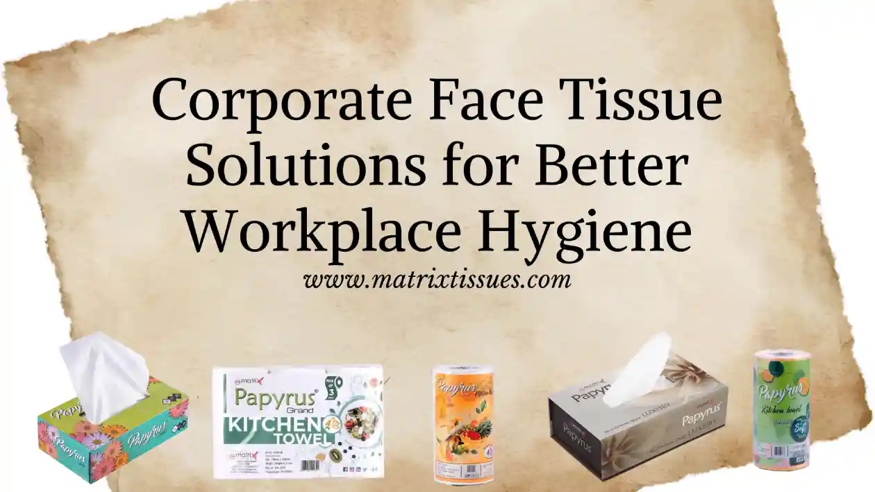 Tissue Supplier, Face Tissue Supplier, Paper Napkin Supplier, Kitchen Towel Supplier, Cling Film Supplier, Aluminuin Foil Supplier, Butter Paper Supplier, Customized Face Tissue Supplier