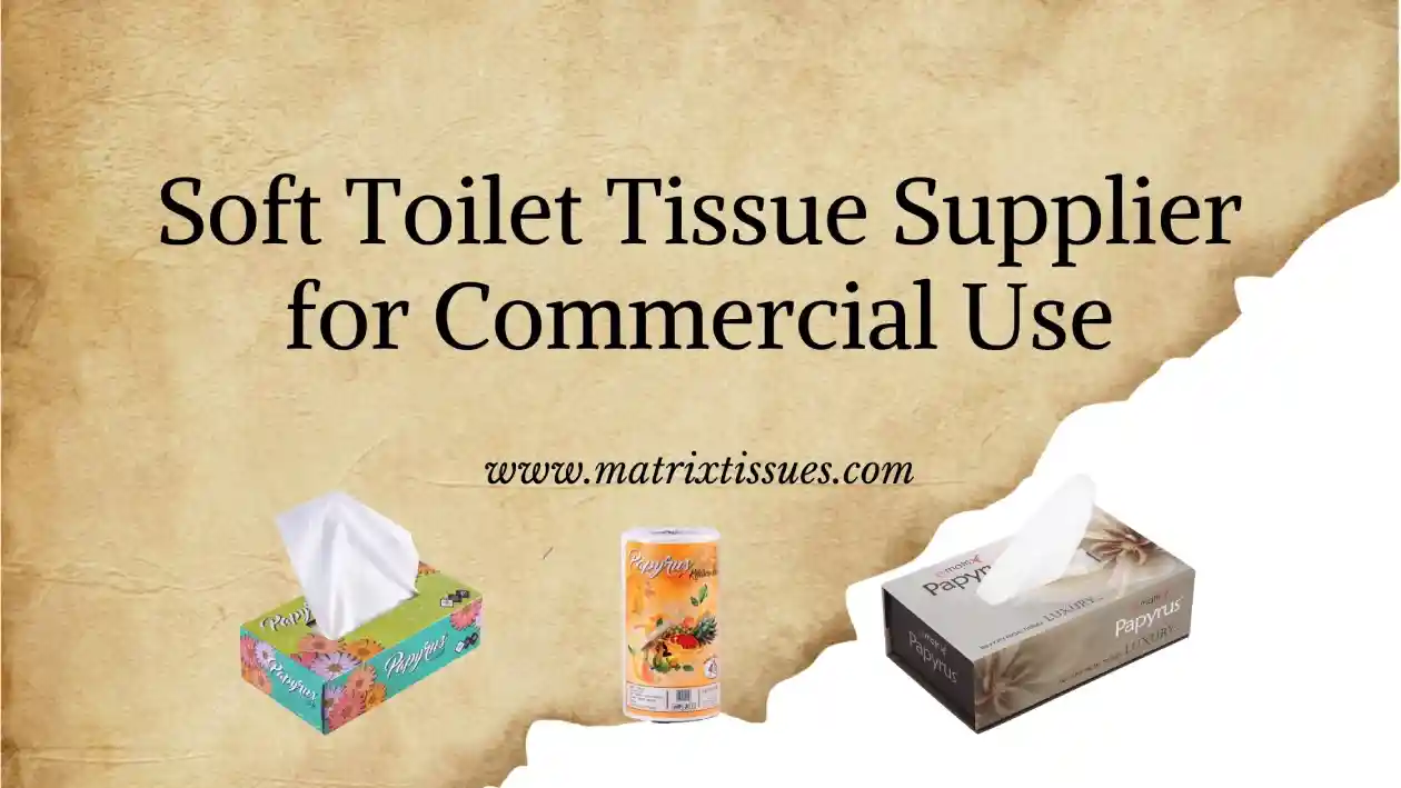 Tissue Supplier, Face Tissue Supplier, Paper Napkin Supplier, Kitchen Towel Supplier, Cling Film Supplier, Aluminuin Foil Supplier, Butter Paper Supplier, Customized Face Tissue Supplier